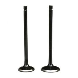 Engine Valve Compatible For Bajaj Xcd +