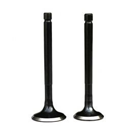 Engine Valve Compatible For Bajaj Caliber/ct 100 Old +
