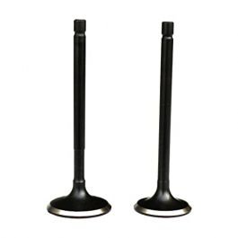 Engine Valve Compatible For Tvs Apache Rtr +