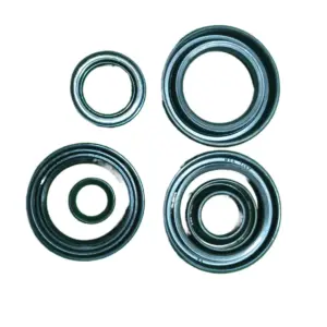 Oil Seal Kit For Rx 100 /135 /rxz