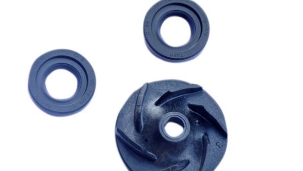 Oil Seal Water Pump Duke - Image 3