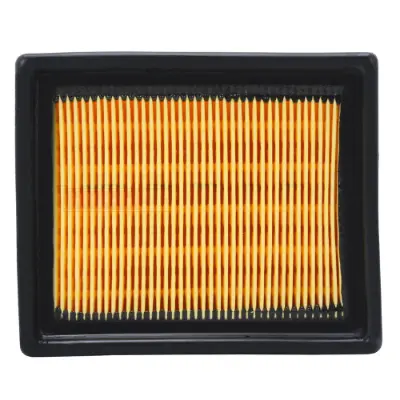 Passion Pro Bs6 Air Filter Genuine Air Filters -