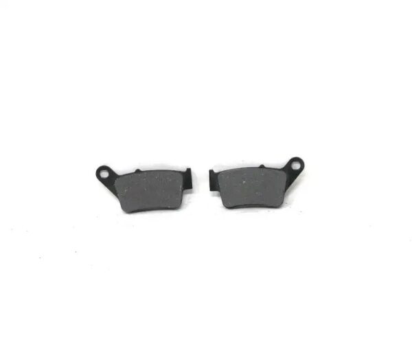 Rear Brake Pad For Bajaj Pulsar 220 -2018 | Spark Minda