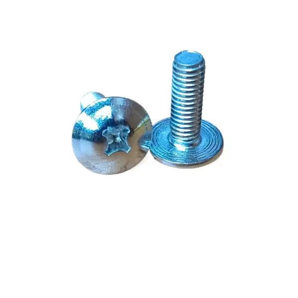 Rx Side Shild Screw Set Of 2pc - Image 2