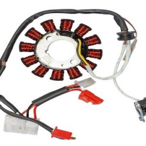 Stator Assembly For Tvs Phoenix125 | Star City+| Radeon