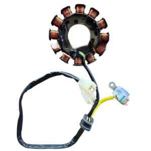 Stator Coil Plate Assembly For Hero Xtreme Sport