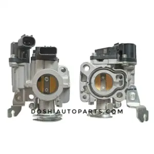 Throttle Body For Raider