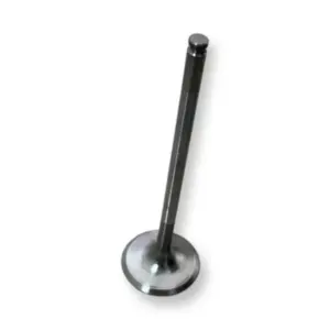 Tvs Apache Rr 310 Valve Exhuast 0.5cm ( 5.0mm)
