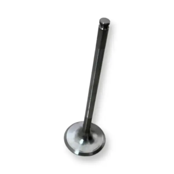 Tvs Apache Rr 310 Valve Exhuast 0.5cm ( 5.0mm)