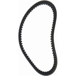 Tvs Ntorq Belt