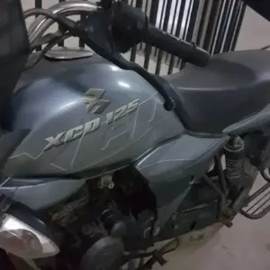 Full Body Kit For Xcd125 Grey