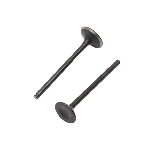 Usha Engine Valve For Glamour - Image 3