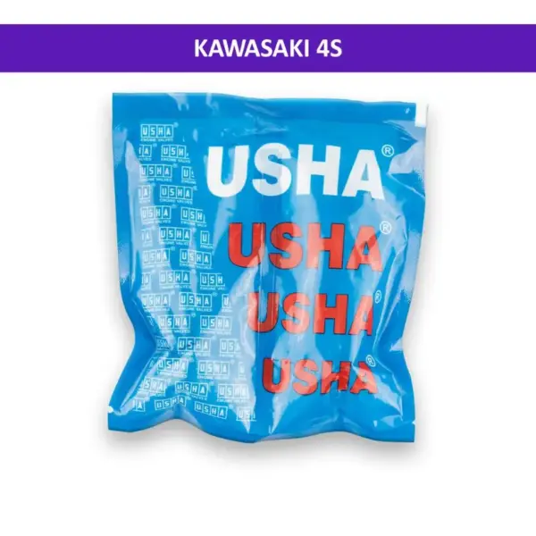 Usha Engine Valve For Kawasaki 4s - Image 2