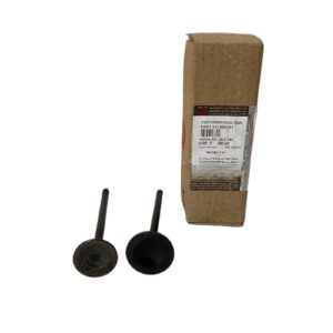 597405 Valve Kit 350cc Royal Enfield 350cc Old Models