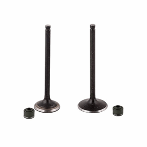 Valve Kit For Hero Hunk |xtreme |xtreme Sports |
