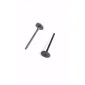 Valve Set For Fz