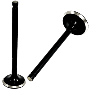 Valve Set Genuine Avenger 220