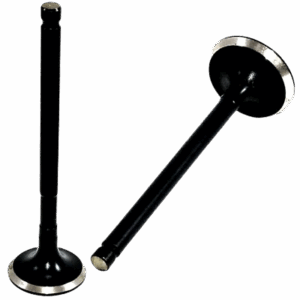 Valve Set Standard Apache Rtr 160