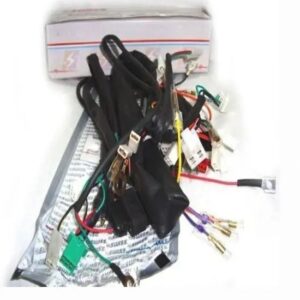 Wiring Harness Fascino Swiss