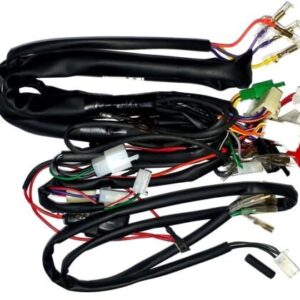 Wiring Harness Fo Activa I / 110es Het Cdi Unit 2 Socket (spark Minda)