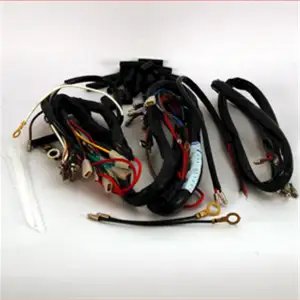 Wiring Harness For Hero Ambition Kick Start | Spark Minda