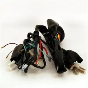 Wiring Harness For Hero Passion Old Model | Spark Minda