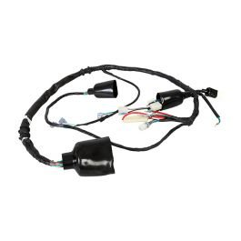 Wiring Harness For Passion Pro Digital Meter (spark Minda)