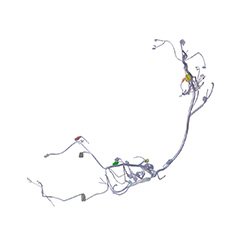Wiring Harness For Pleasure 110 | Pleasure + | Hero
