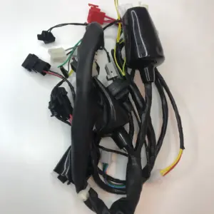 Wiring Harness For Suzuki Hayate 110cc Ss | Spark Minda