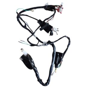 Wiring Harness For Yamaha Rxg 135 Kick Start 12v