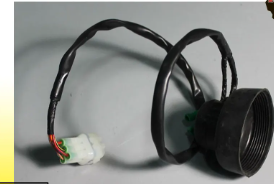 Wiring Harness Light For Avenger Cruise 220 Ug | Bajaj