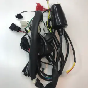 Wiring Harness Self Start | Xcd 125 | Bajaj